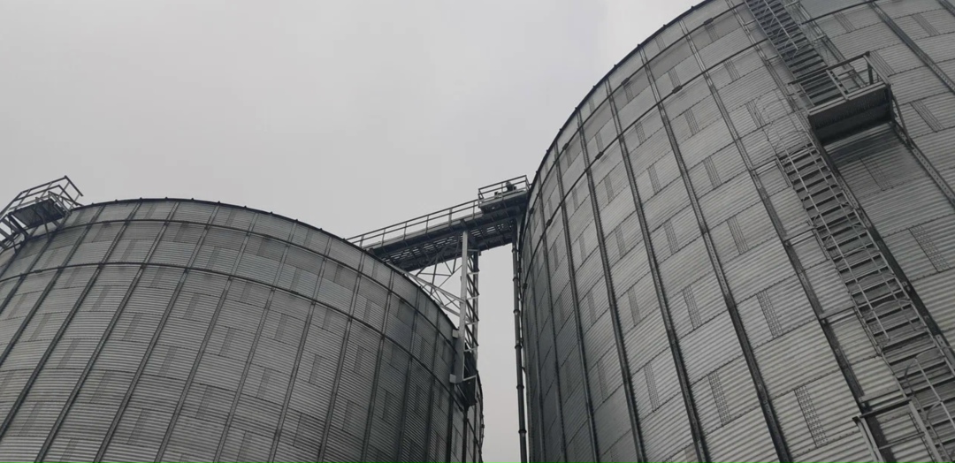 В этом году был установлен абсолютный рекорд по урожайности зерновых и зернобобовых культур, картофеля и овощей за всю историю Тюменской области. Об этом…