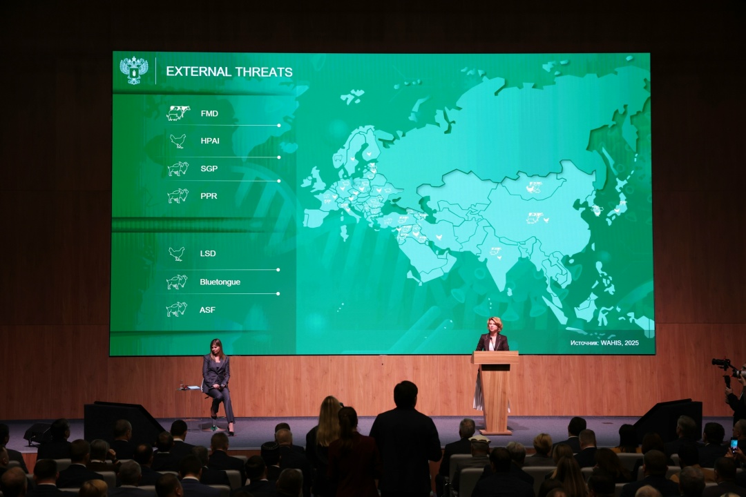 Обеспечение глобальной ветеринарной безопасности обсудили на международном форуме в Москве.
