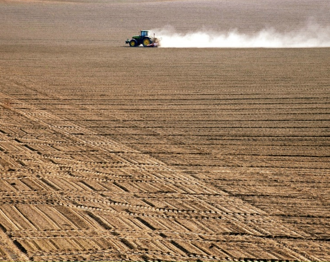 В 2025 году в Ростовской области без удобрений посеяно порядка 700 тыс. га озимых. Отказ от их использования объясняется финансовыми сложностями у аграриев на…