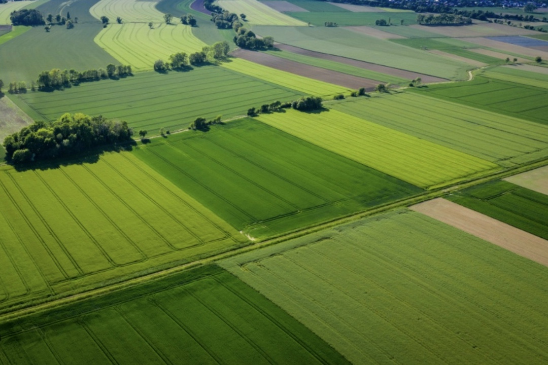 Минсельхоз с 1 марта 2026 года получит право устанавливать и изменять границы сельскохозяйственных угодий, следует из постановления правительства. «Решение об…