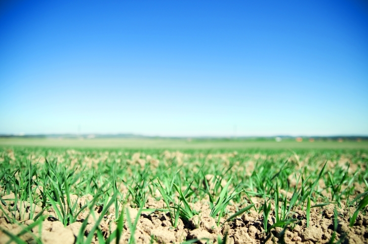 Неустойчивый режим осадков и погодные катаклизмы влияют на АПК во всем мире