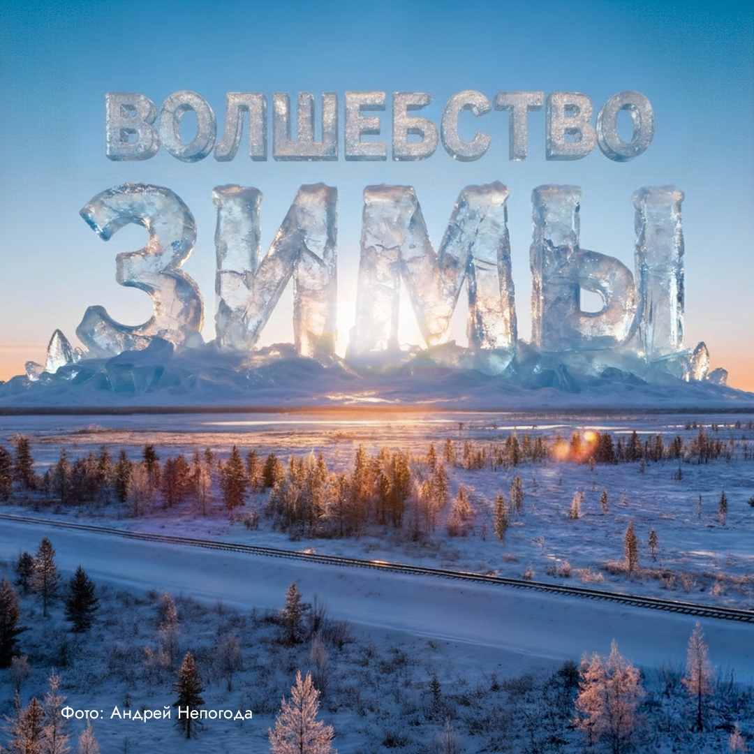 Приветствуем зиму и любуемся ее красотой! Несмотря на календарную очередность, во многие регионы зима пришла уже давно.