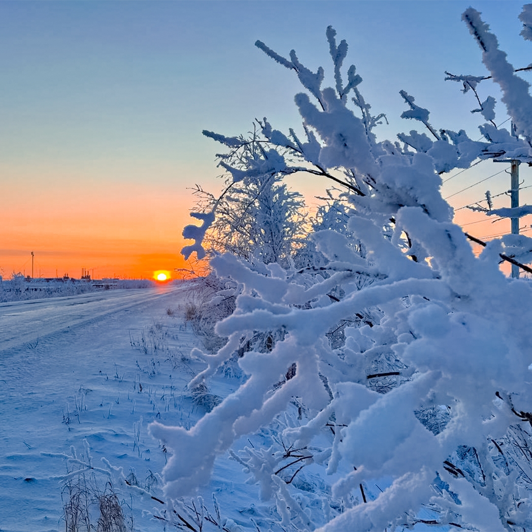Приветствуем зиму и любуемся ее красотой! Несмотря на календарную очередность, во многие регионы зима пришла уже давно.