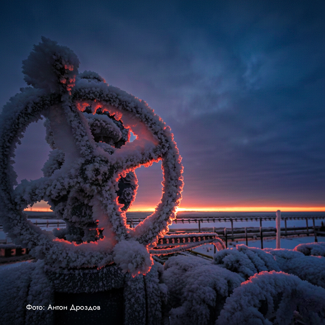 Приветствуем зиму и любуемся ее красотой! Несмотря на календарную очередность, во многие регионы зима пришла уже давно.
