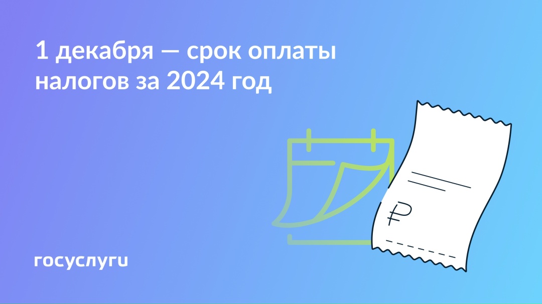 Не забудьте про налоги за 2024 год