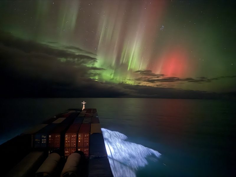Наш флот в деле Сахалинское морское пароходство (СахМП, входит в ГК «Дело») успешно завершило арктическую навигацию – 2025, доставив в рамках северного завоза…