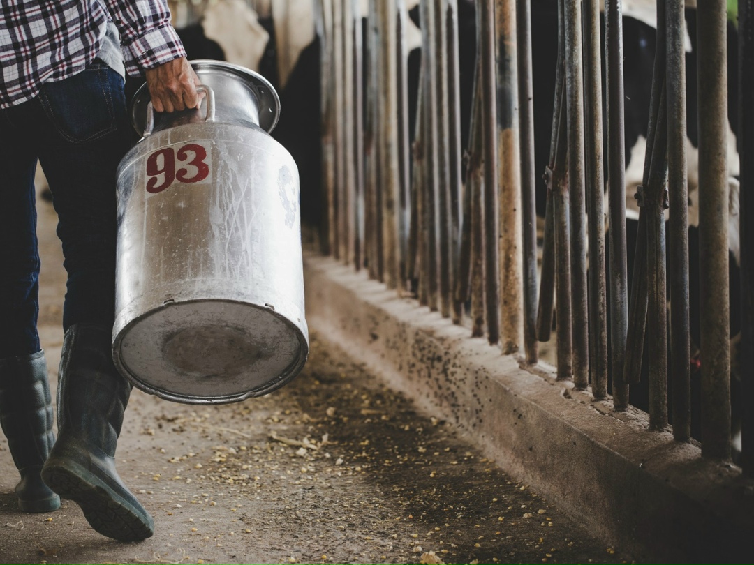 Группа «Синара» построит молочно-товарную ферму в Ирбите Свердловской области. Комплекс будет создан в три этапа до конца 2029 года и рассчитан на 3,6 тыс.…