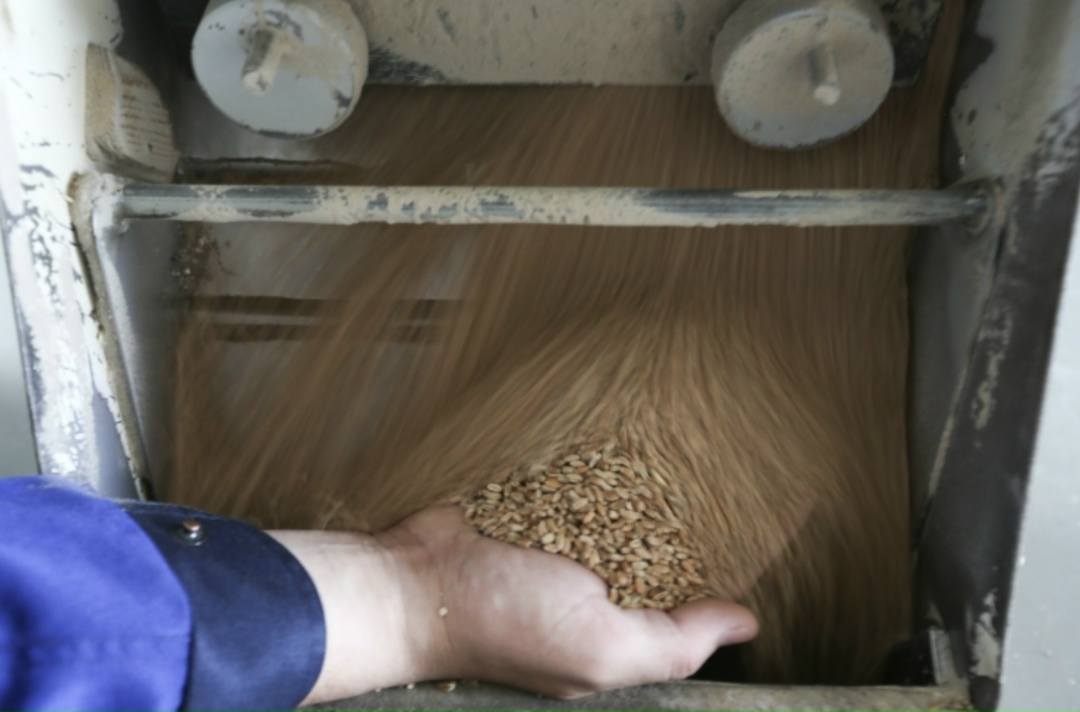 ВТБ планирует создать крупный агрохолдинг на базе национализированных активов, которые он приобрел в южных регионах в декабре 2024 года