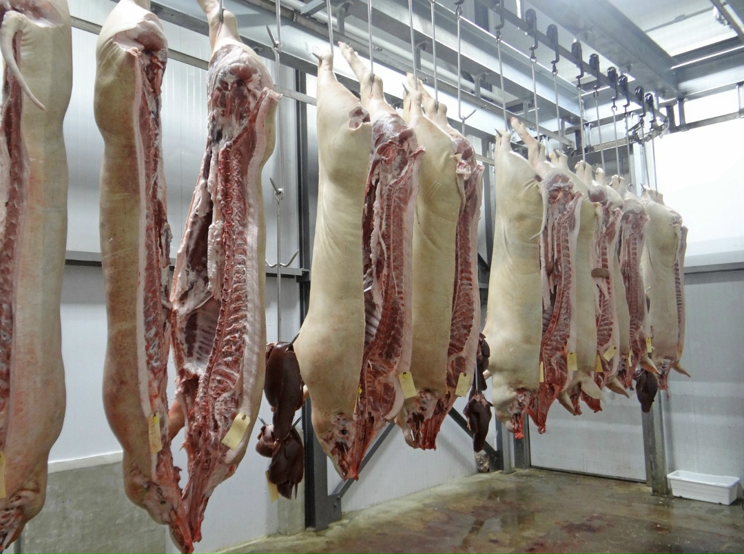 Оптовая стоимость свиной полутуши на неделе с 24 по 30 ноября снизилась на 10% относительно прошлого года и составила 180 руб./кг, пишет «Коммерсантъ» со…