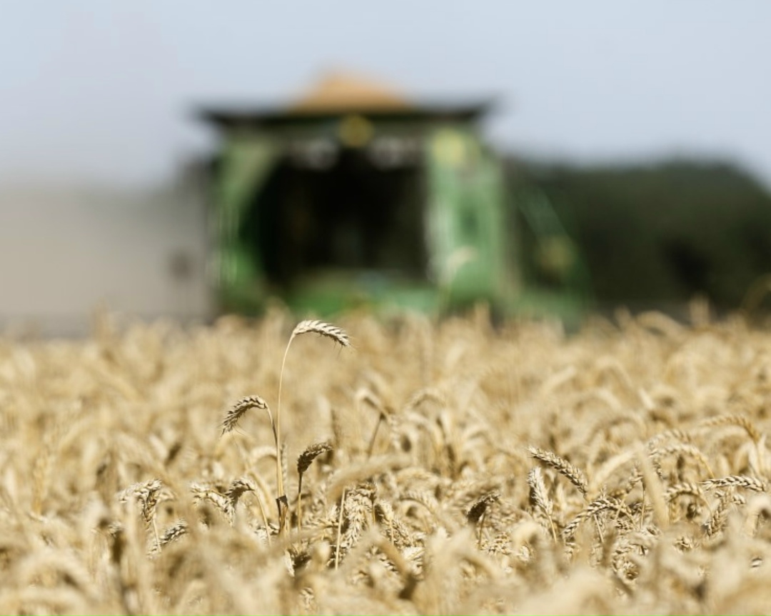 Уборочная кампания в России близится к завершению, сбор зерна превысил 145 млн т в бункерном весе, сообщил вице-премьер Дмитрий Патрушев на совещании «О ходе…