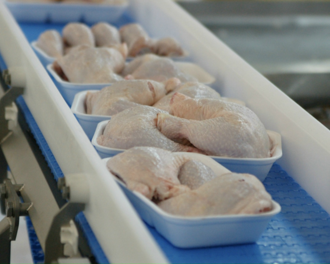 ГАП «Ресурс» возобновила поставки мяса птицы в Республику Филиппины. Первый после пятилетнего перерыва контейнер с продукцией из мяса цыплят-бройлеров прошел…