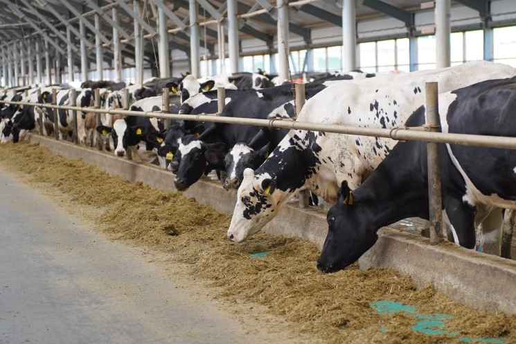 Новый закон, регулирующий использование навоза и помета, действует в стране уже пару лет