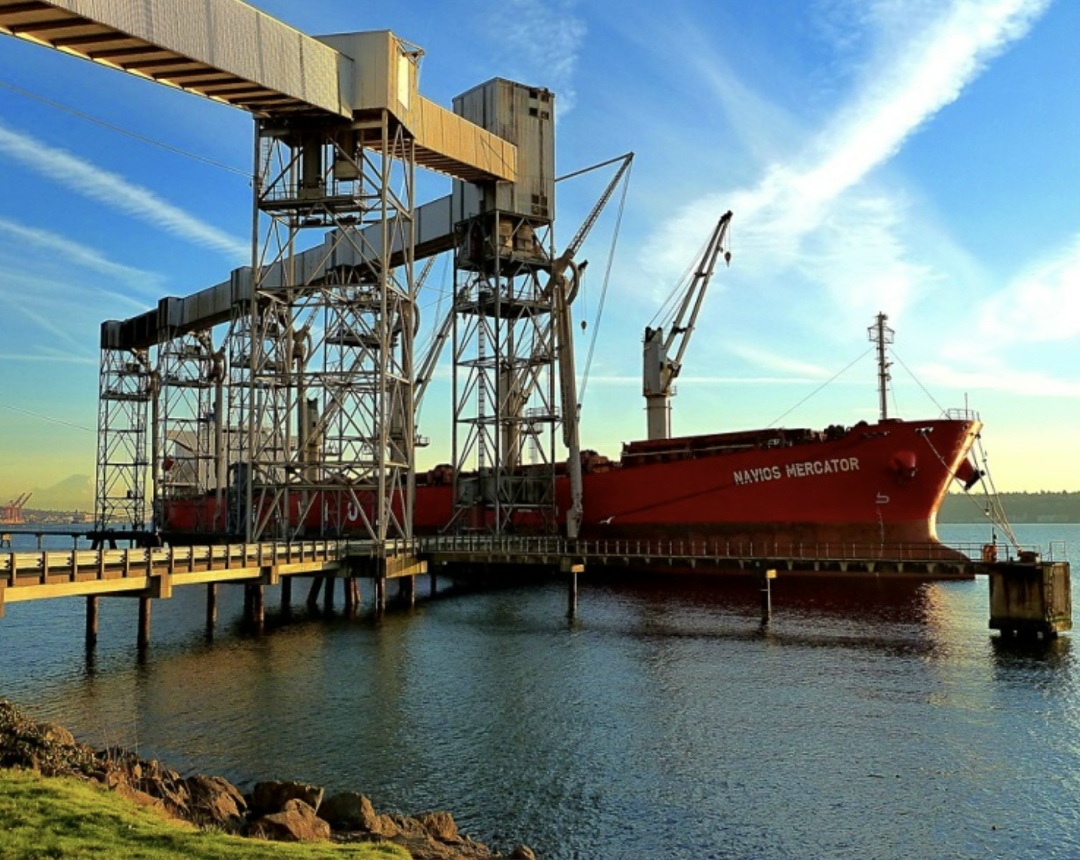 Для достижения планового значения целевого показателя экспорта продукции АПК к 2030 году в $55,2 млрд требуется трансформация структур поставок