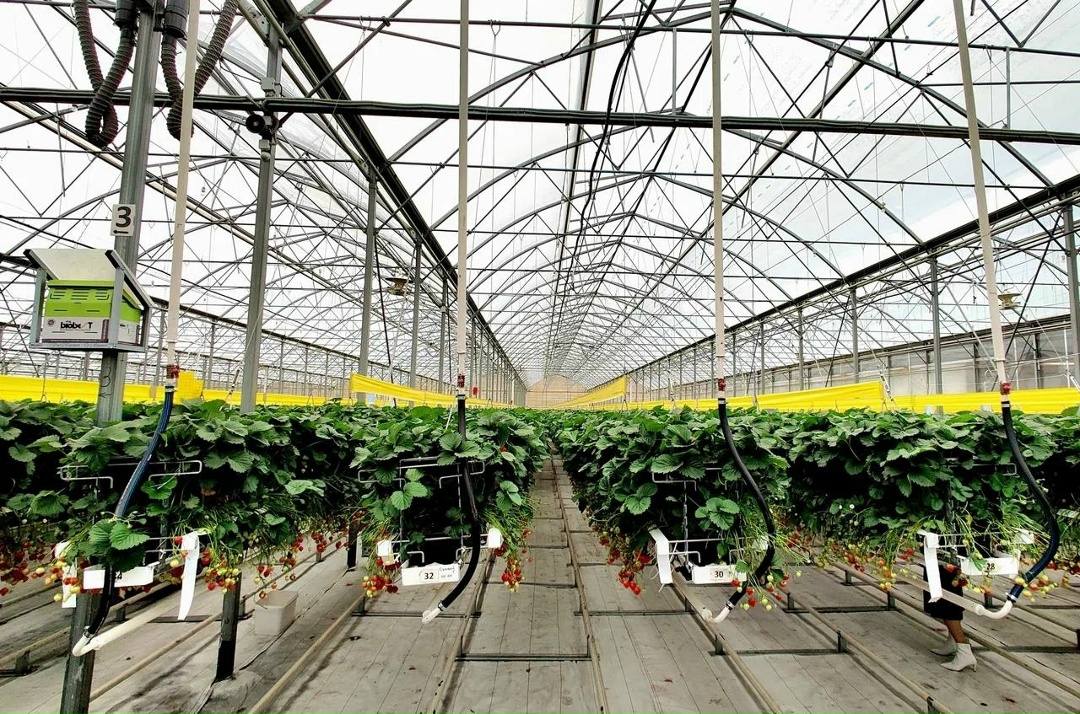 Дмитрий Патрушев: Внедрение газопоршневых электростанций на предприятиях АПК позволит снизить себестоимость сельхозпродукции.