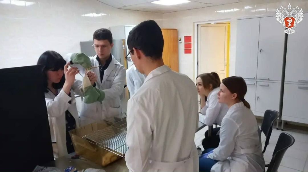 Курские ученые разрабатывают новый препарат для нормализации работы печени