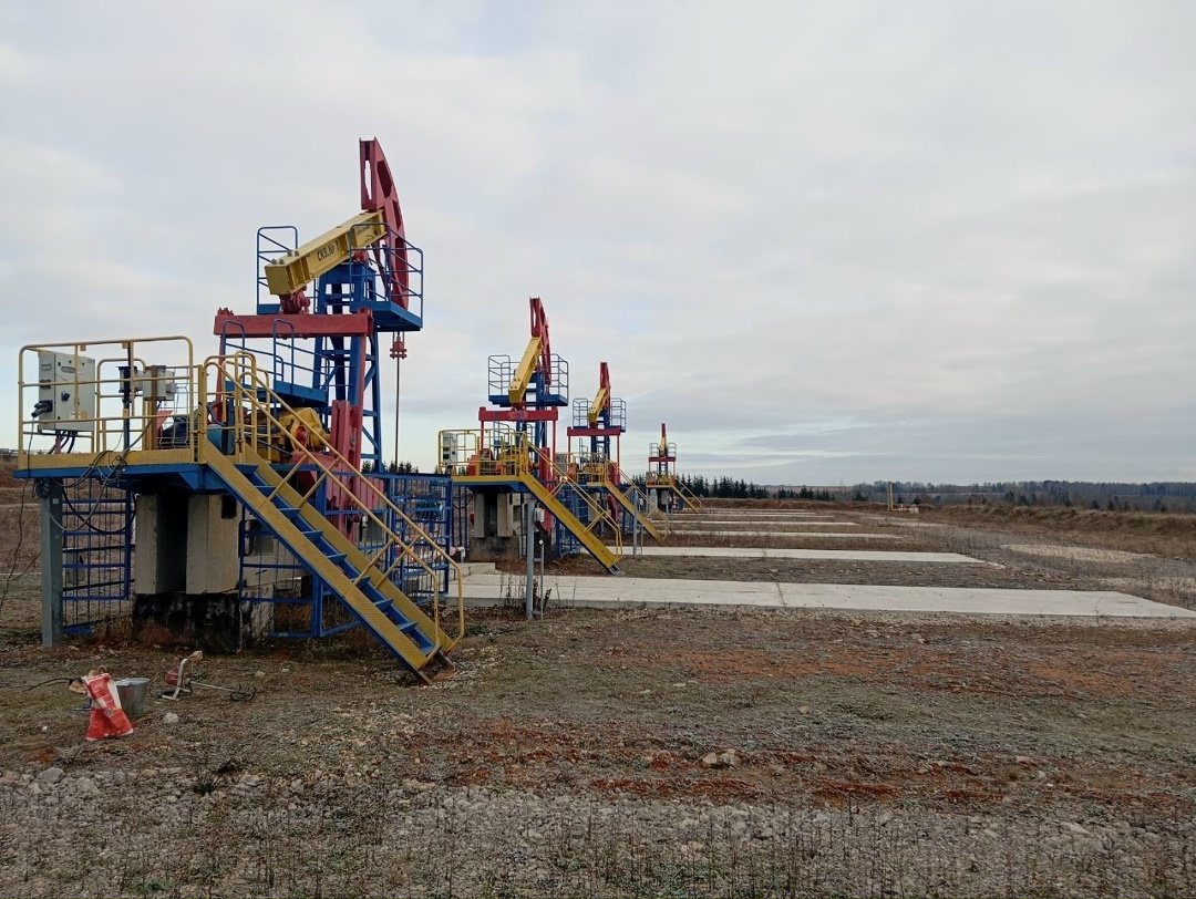 Западно-Уральское управление Ростехнадзора провело проверку объекта «Строительство и обустройство скважин Полушкинского месторождения» ООО «Лукойл-Пермь» в…