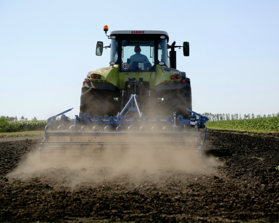 В январе-октябре сельхозпроизводство выросло на 2,8% по сравнению с аналогичным периодом прошлого года. Объем производства в действующих ценах Росстат…