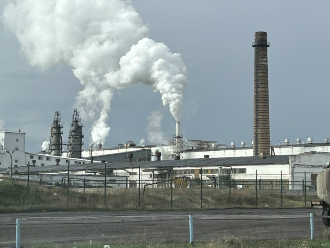 «Чишминский сахарный завод» (ЧСЗ, Башкортостан) сообщил, что начал поставки свекловичного сахара в Азербайджан. Республика стала десятой страной в экспортной…