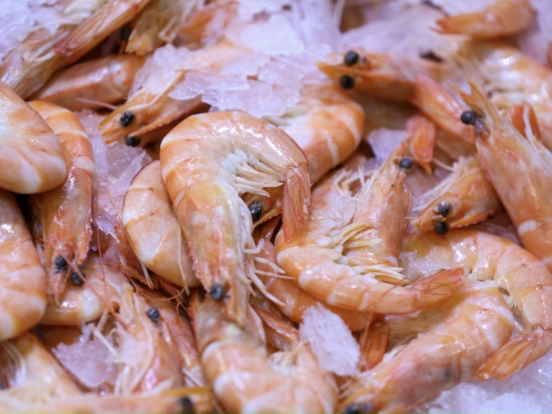 Торговля продукцией АПК между Россией и Индией за три года выросла в два раза, сообщил Минсельхоз по итогам встречи главы ведомства Оксаны Лут с министром…