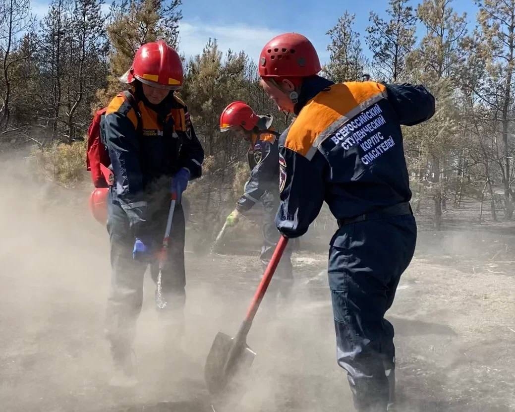 Дмитрий Чернышенко: Сегодня в добровольческое движение активно вовлечены миллионы граждан нашей страны.