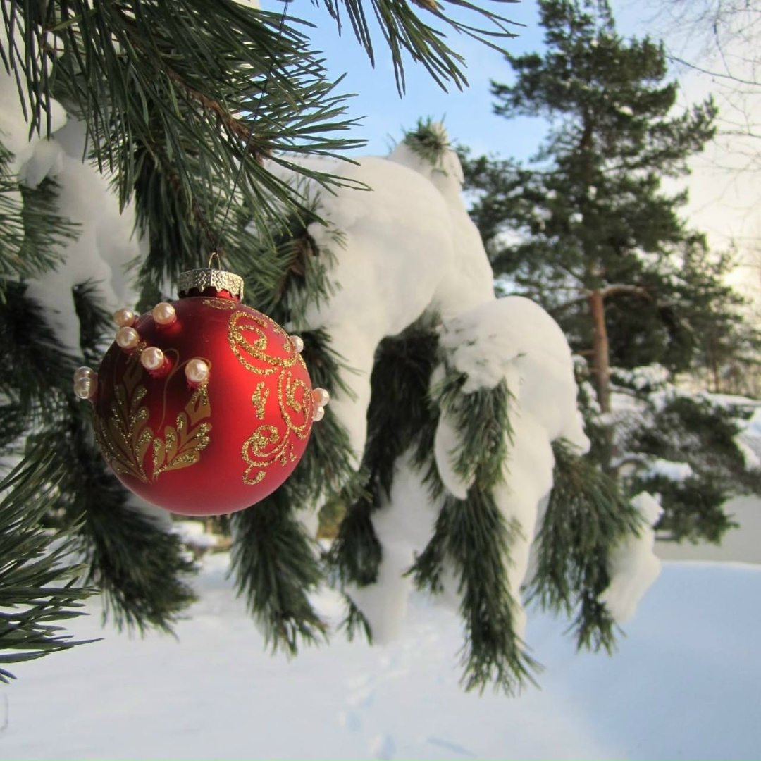 5 декабря какой праздник? Сегодня исполняется 22 года курорту ММК «Банное»!