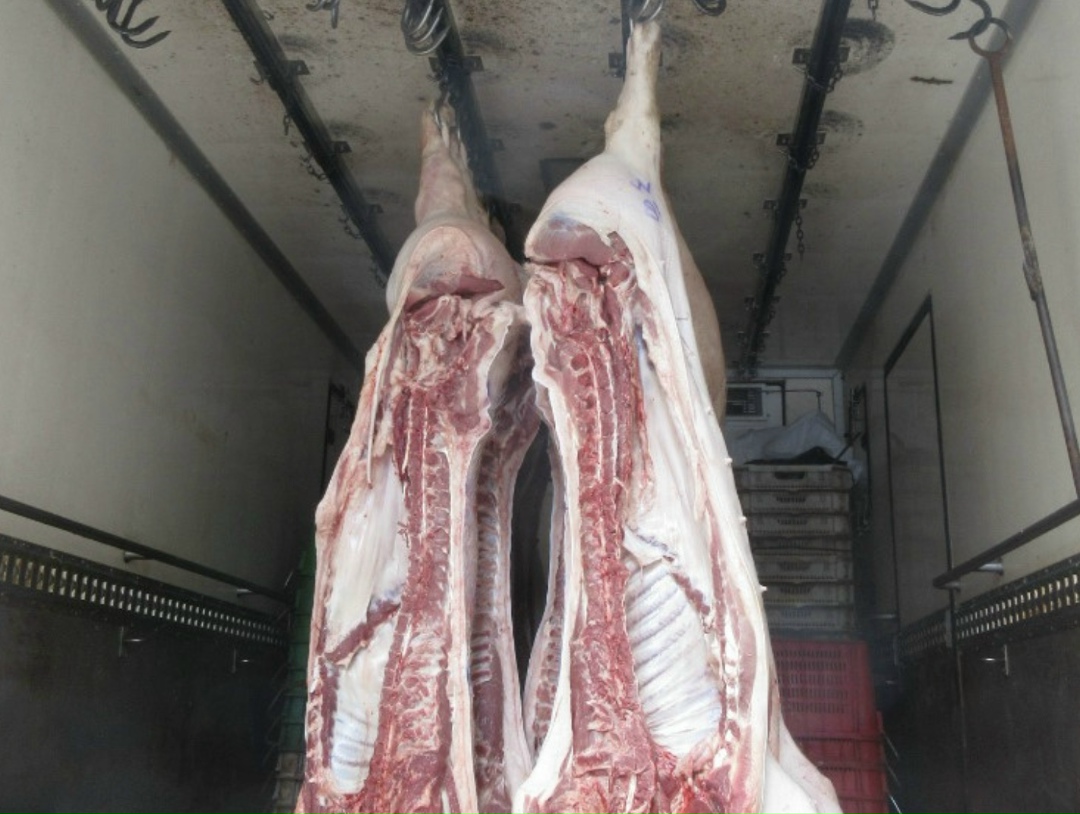 Поставки российской свинины на Филиппины могут начаться в ближайшее время. Об этом рассказал гендиректор Национального союза свиноводов (НСС) Юрий Ковалев на…