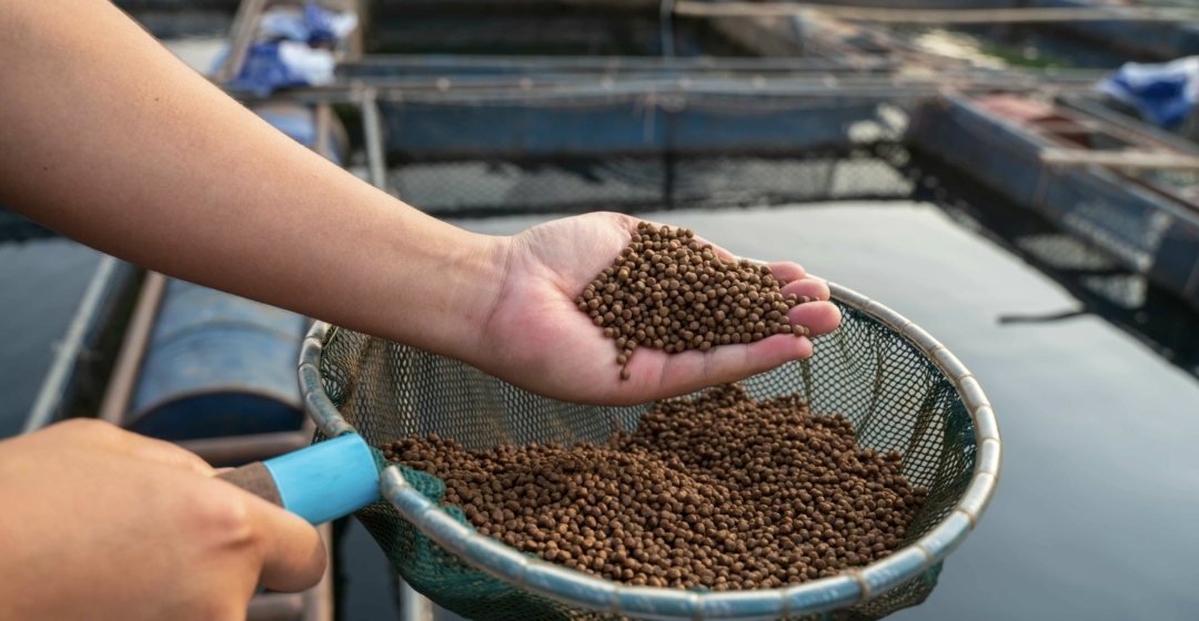 На предприятии «ВЗК» (входит в ГК «Мелком») в Смоленской области прошла рабочая проверка его готовности к пусконаладочным работам. Визит комиссии подтвердил…