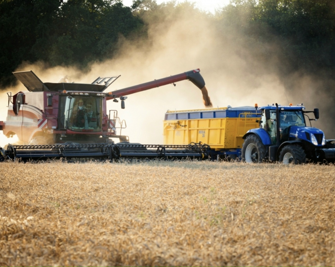Самое интересное за неделю с 1 по 7 декабря