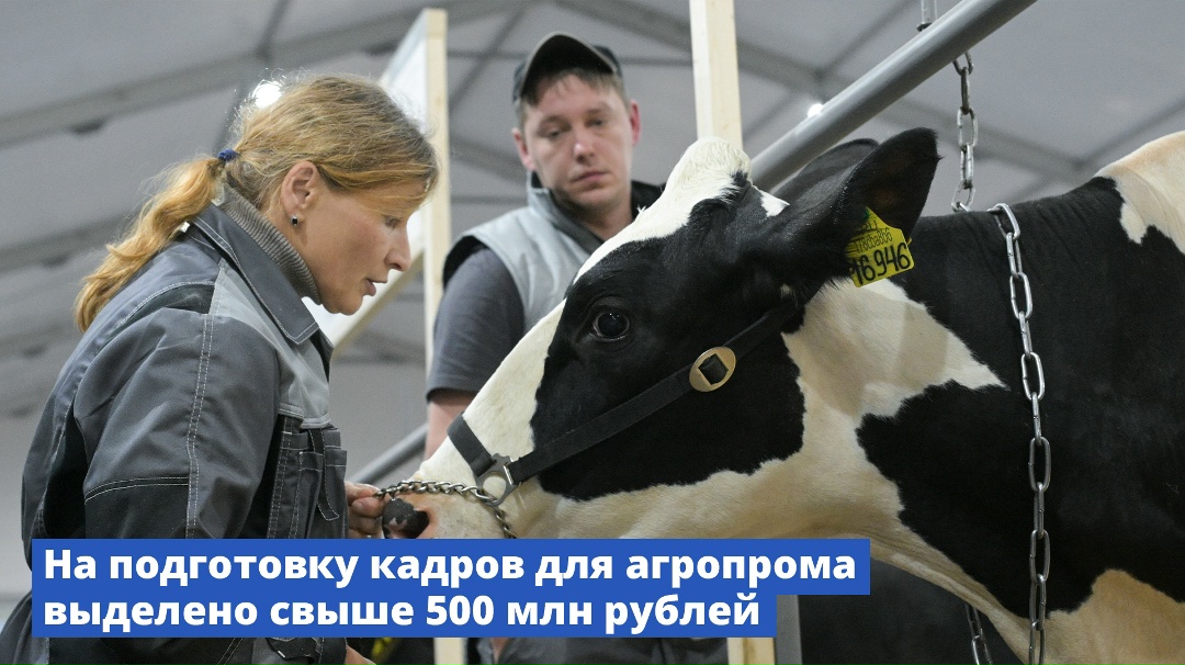 На подготовку кадров для агропрома Правительство выделит дополнительно свыше 500 млн рублей.