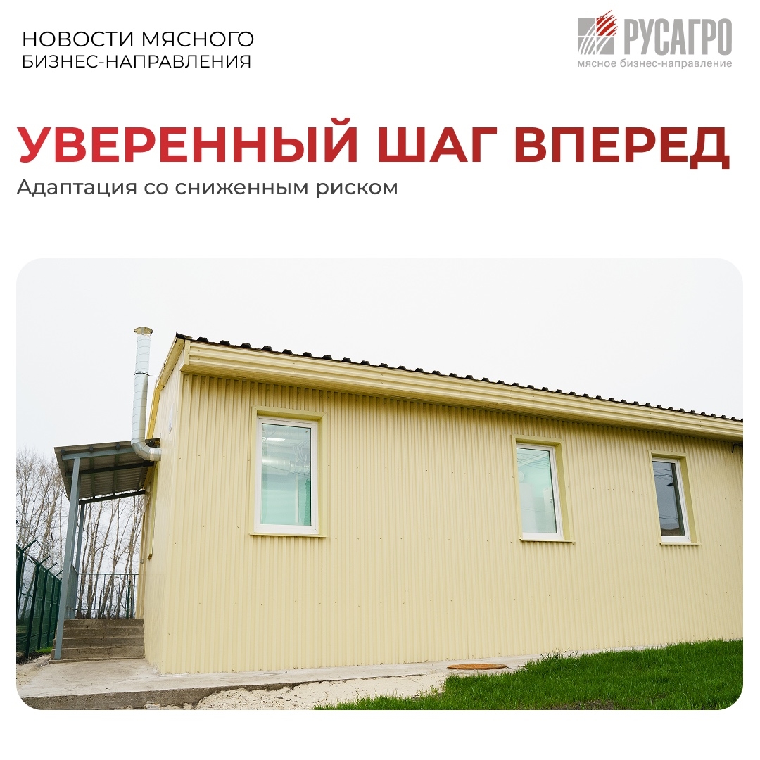 В Мясном бизнесе «Русагро» адаптация ремонтного свинопоголовья ведется в адаптерах. Новые объекты появились сразу в трех округах Тамбовской области