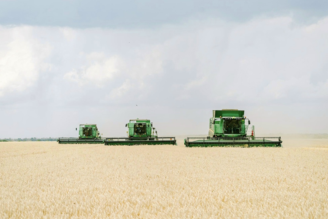 Предприятия ГК «ЭкоНива» в этом году собрали около 1,2 млн т товарных культур в зачетном весе, включая семена, с площади более 260 тыс. га. Урожай на 9%…