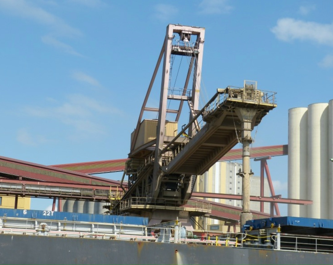 Цены на российскую пшеницу с протеином 12,5% с поставкой в декабре на прошлой неделе оставались на уровне предыдущей недели - $227,5/т FOB, сообщил…