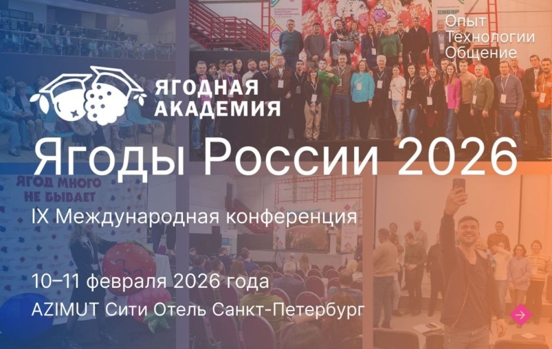 Анонс конференции. IX Международная конференция «Ягоды России — 2026» состоится 10-11 февраля 2026 года в Санкт-Петербурге