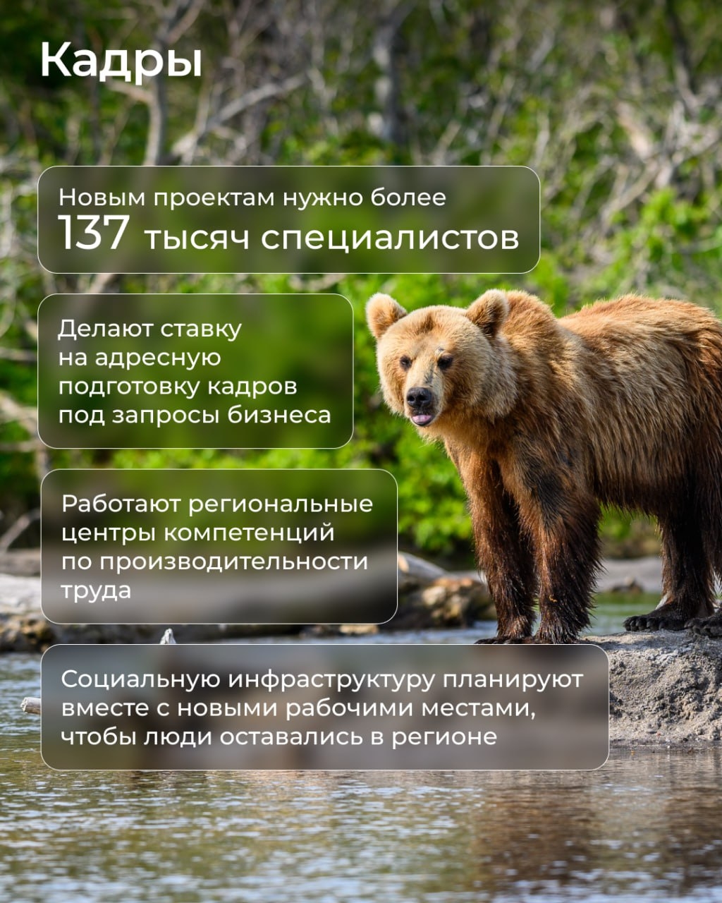 Как строить бизнес на Дальнем Востоке: что важно знать о приоритетах в господдержке