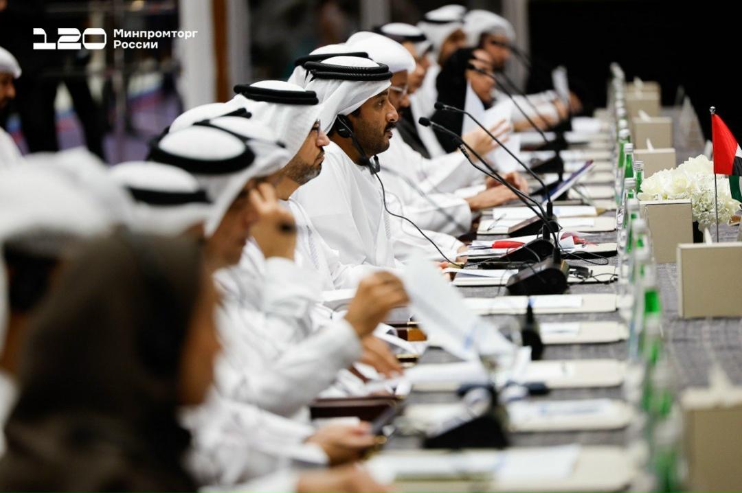 В Дубае обсудили российско-эмиратское сотрудничество