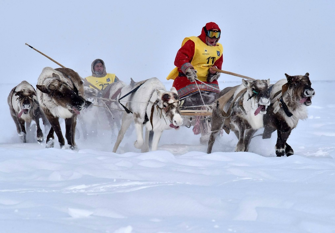 День Таймыра Таймыр – самый большой полуостров России. Здесь работают наши нефтяники.