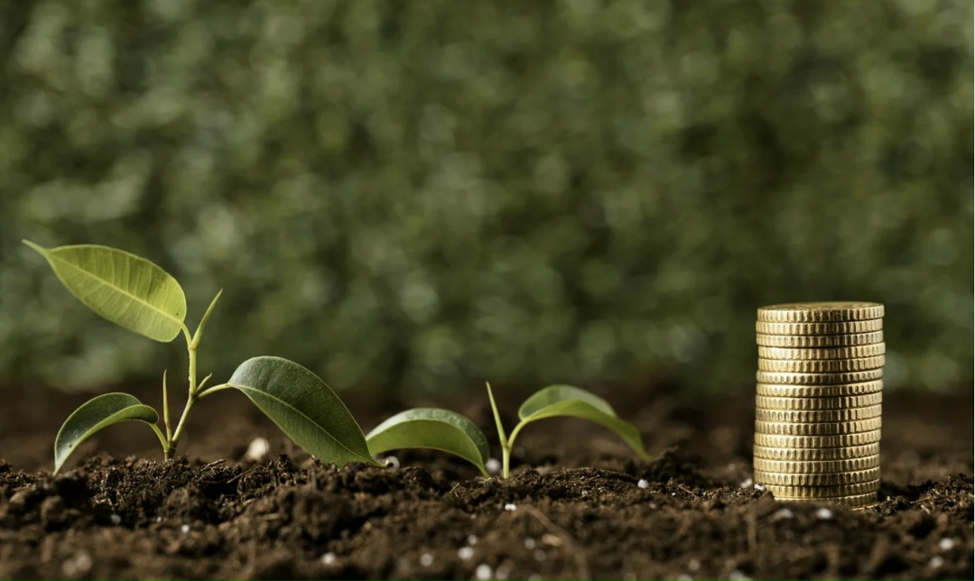 Минсельхоз сохраняет на 2026 год механизм льготного кредитования, в соответствии с которым ставки по таким кредитам зависят от ключевой ставки Банка России и…