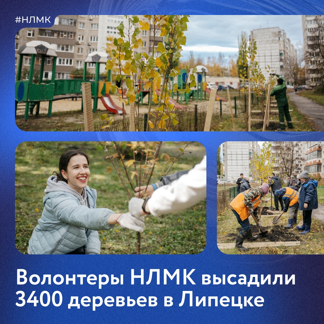 Наши волонтеры в этом году озеленили почти 30 дворов, школ и парков Липецка