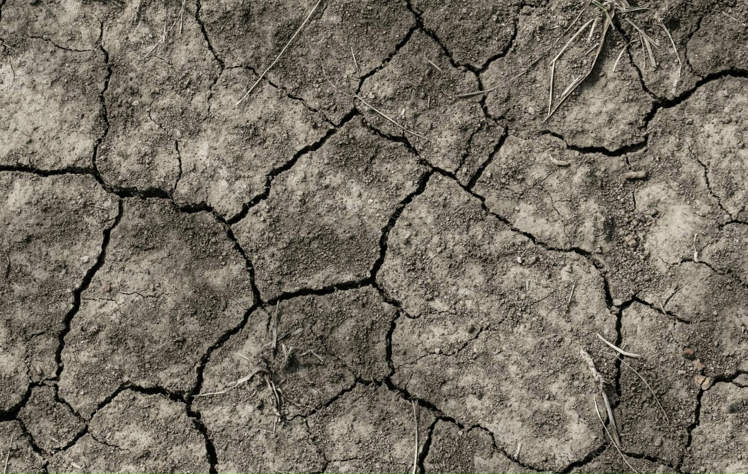 Сильная засуха в ноябре отмечалась в южных регионах европейской части России. На остальной территории осадков выпало около нормы и больше, пишет ТАСС со…