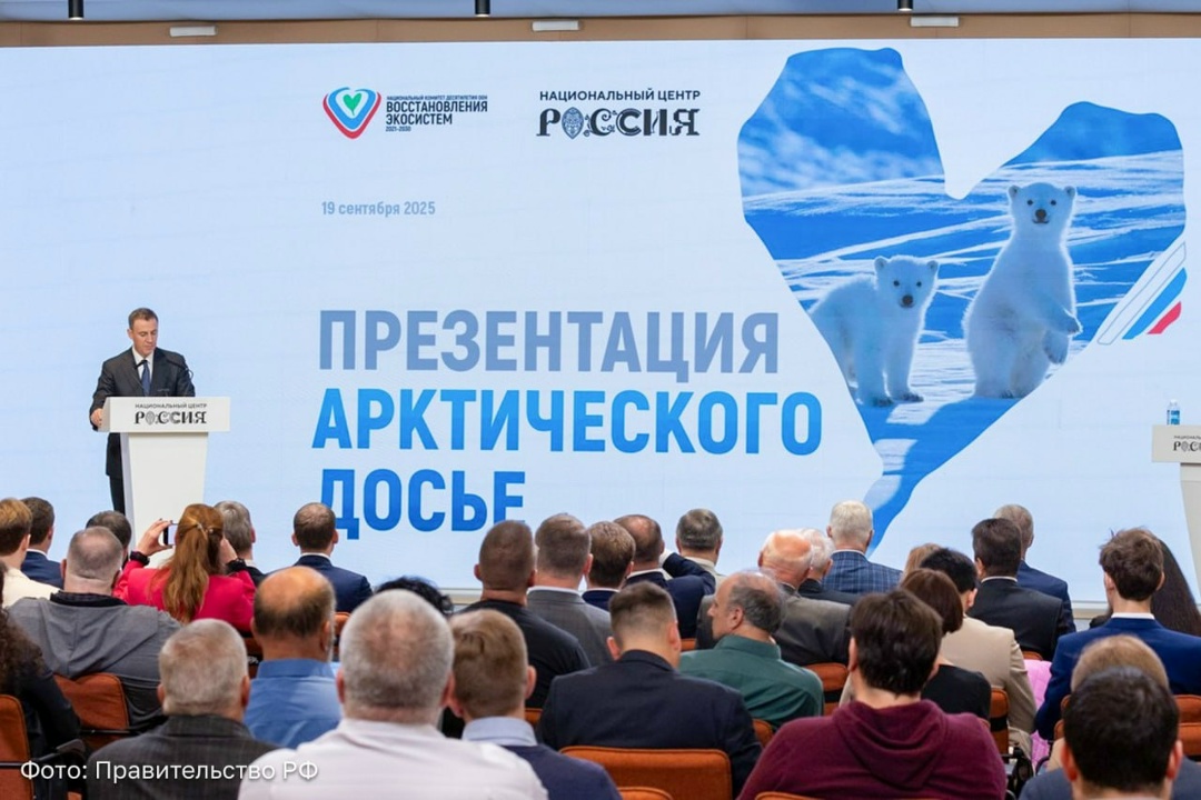 «Норникель» вошел в «Арктическое досье»