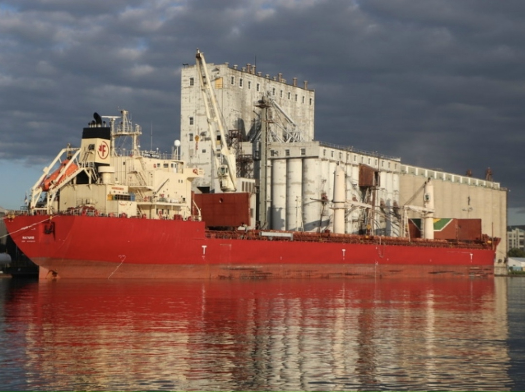 Россия с 1 по 10 декабря отгрузила на экспорт 1,38 млн т пшеницы - на 21,6% меньше, чем за аналогичный период прошлого года, пишет «Интерфакс» со ссылкой на…