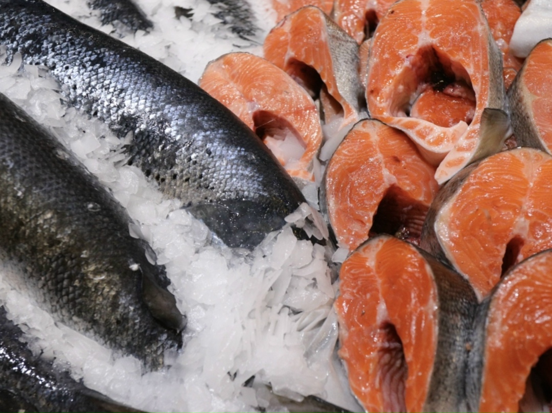 В ноябре индекс цен на рыбу ФАО составил 121,9 пункта, что на 1,9% выше показателя октября