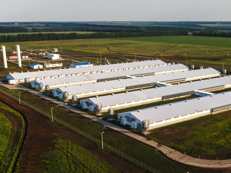 Хотя, по оценке ЦБ, банки охотно продолжают кредитовать агросектор, желающих брать все еще дорогие деньги на долгосрочные проекты становится меньше