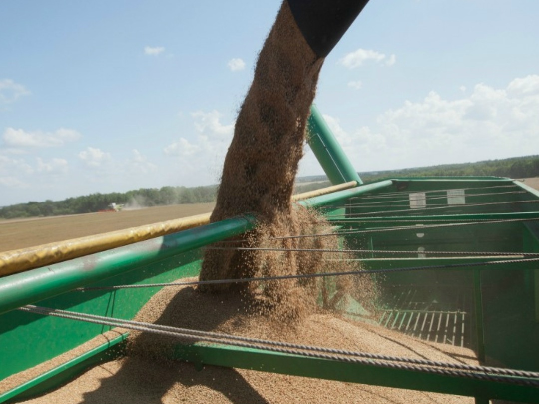 Цены на российскую пшеницу с протеином 12,5% с поставкой в декабре-январе на прошлой неделе немного выросли под влиянием кратковременного повышение спроса, но…