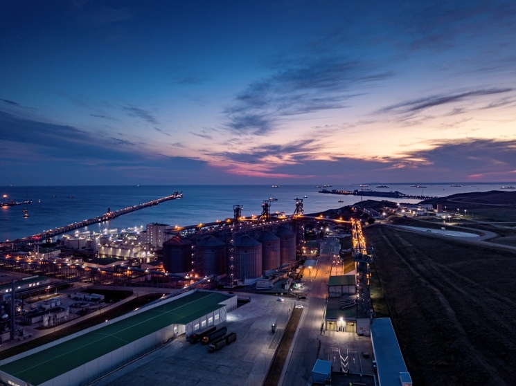 Антихрупкий АПК России. Как монетизировать нестабильность в эпоху тарифных войн — Журнал «Агроинвестор»