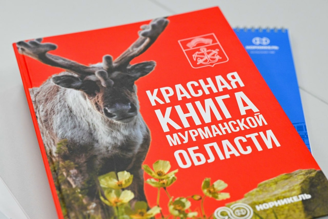 Забота об экологии Севера — это командная работа