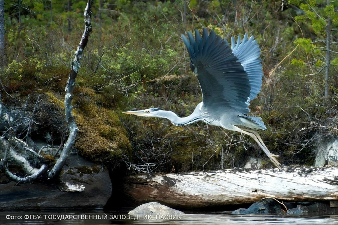 Забота об экологии Севера — это командная работа