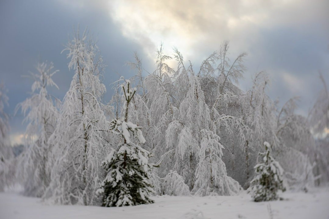 Добавляем зимнего настроения вместе со «Швабе»