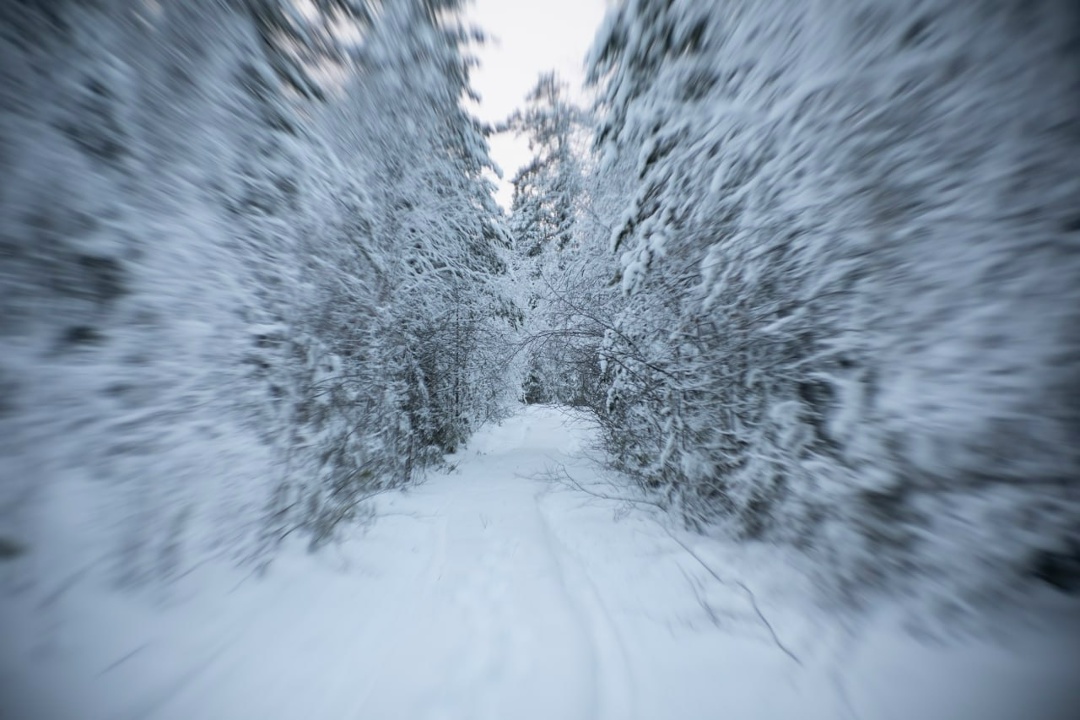 Добавляем зимнего настроения вместе со «Швабе»