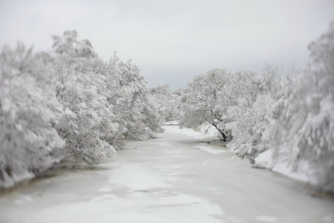 Добавляем зимнего настроения вместе со «Швабе»